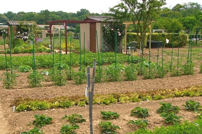 Cultiver ses légumes influe sur la nutrition Ici, les jardins de Crosne © FNJFC
